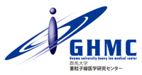 Gunma University, Heavy Ion Medical Center