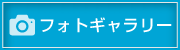 フォトギャラリー