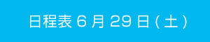 日程表6月29日（土）