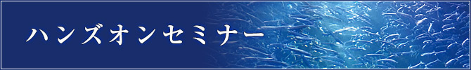 ハンズオンセミナー