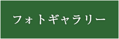 フォトギャラリー