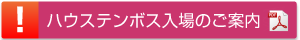 ハウステンボス入場のご案内