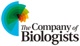 Company-of-Biologists
