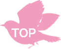 ページトップ