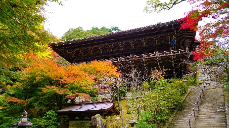 書寫山 圓教寺（しょしゃざん えんぎょうじ）