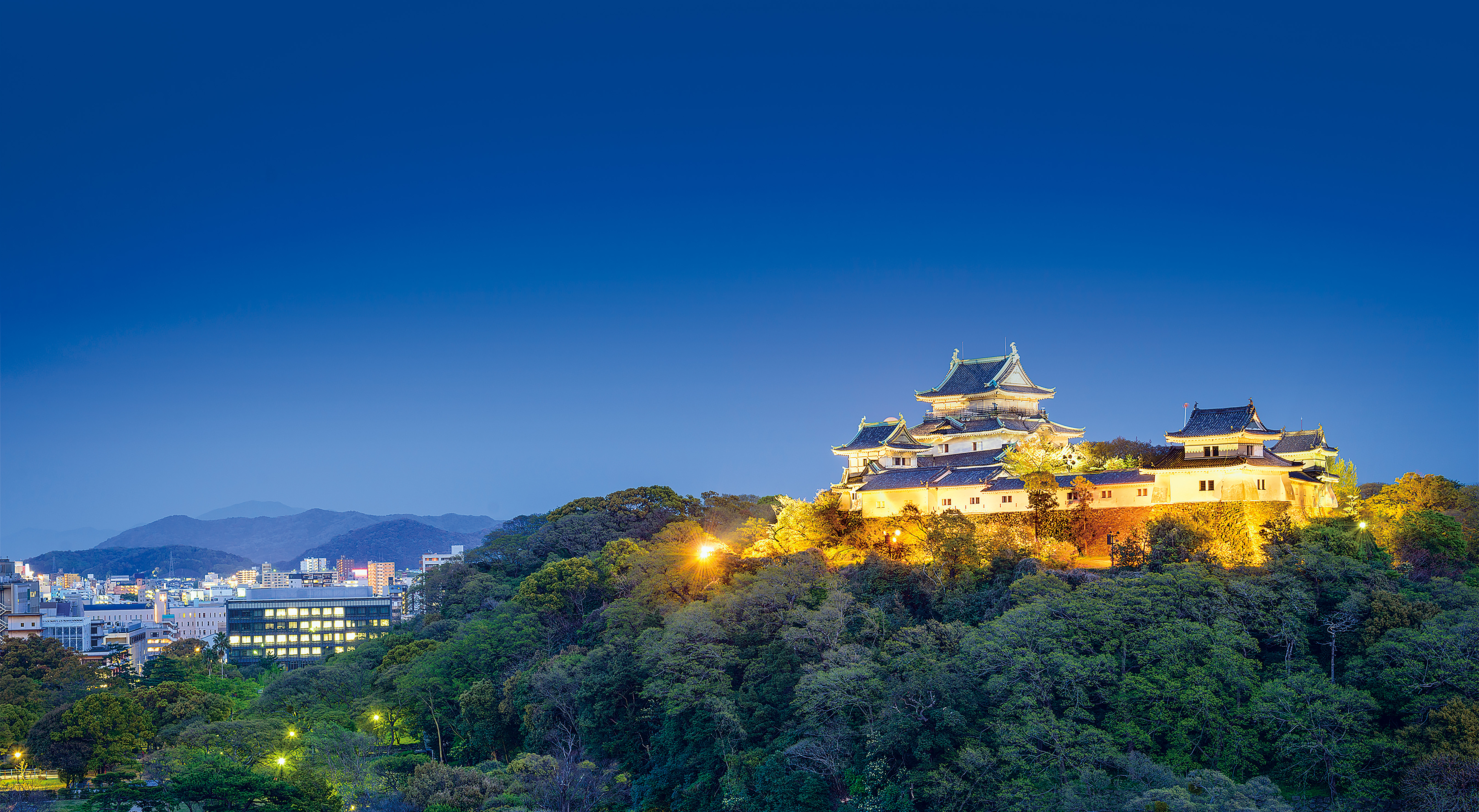 和歌山城夜景