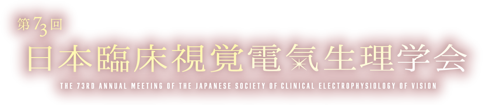 第73回日本臨床視覚電気生理学会