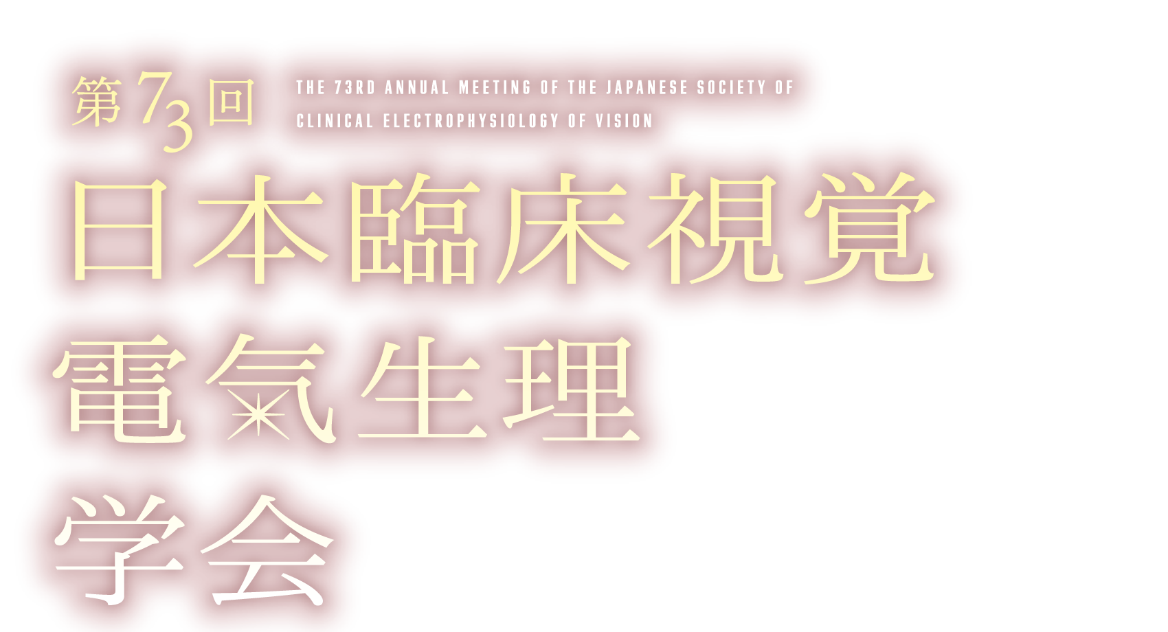 第73回日本臨床視覚電気生理学会