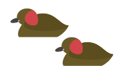 カイツブリ