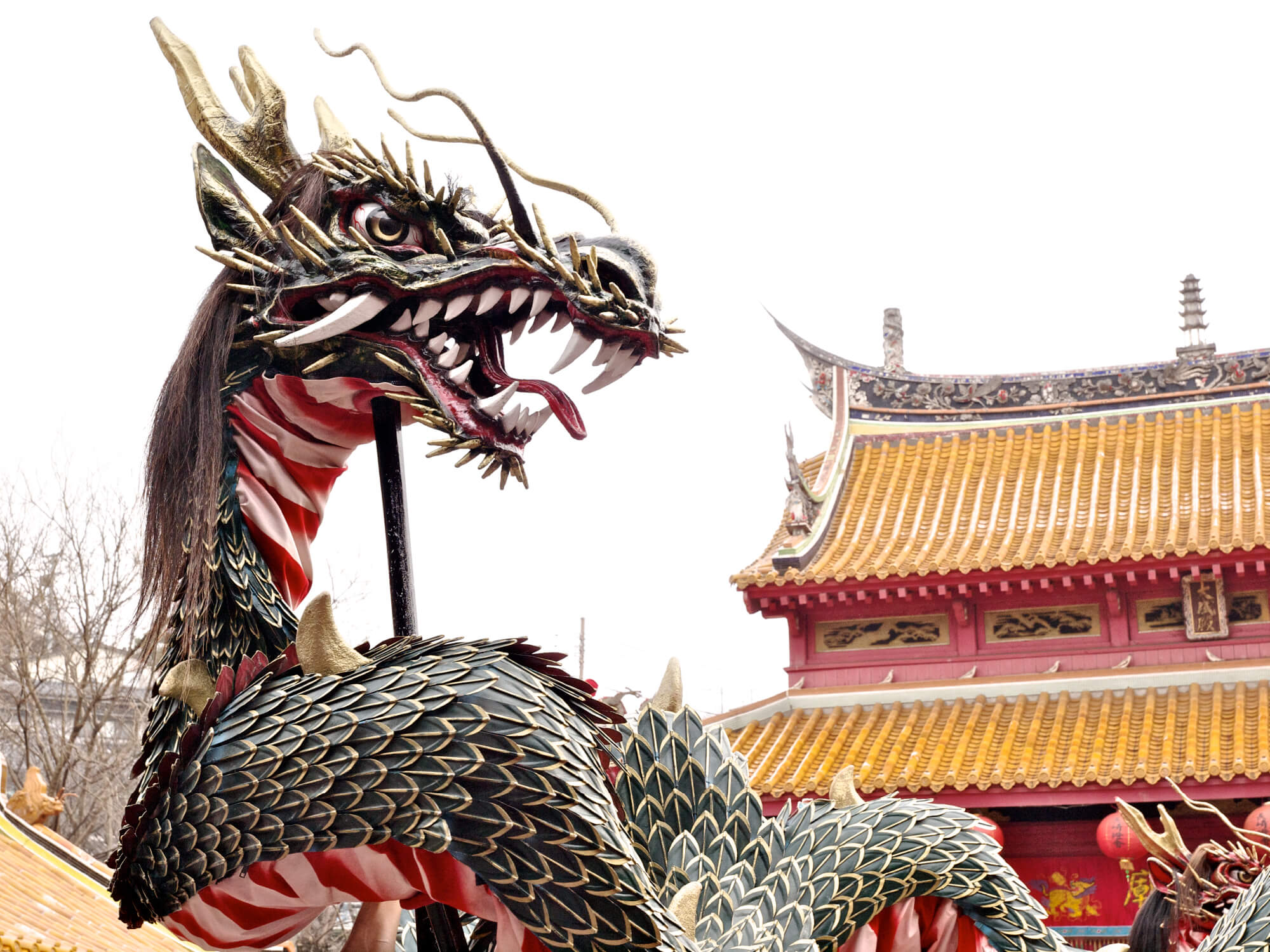 龍踊イメージ写真