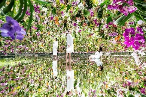 Photo: teamLab Planets