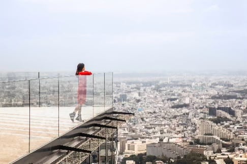 Photo: Meiji Shrine & Shibuya SKY