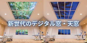 株式会社ランドスキップ