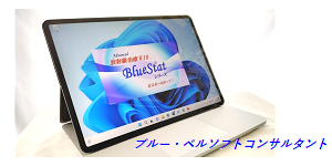 ブルー・ベルソフトコンサルタント株式会社