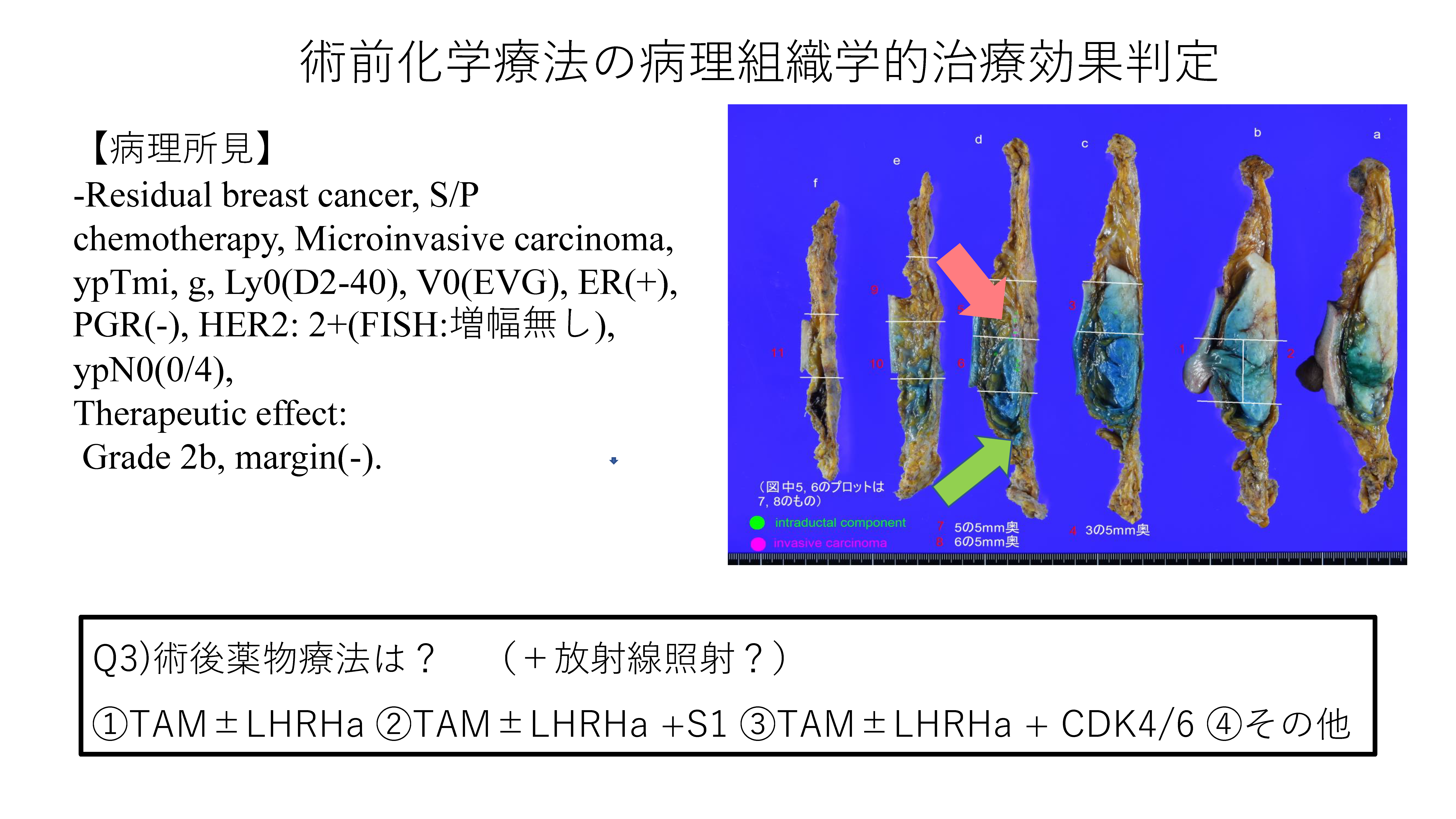 ページ6
