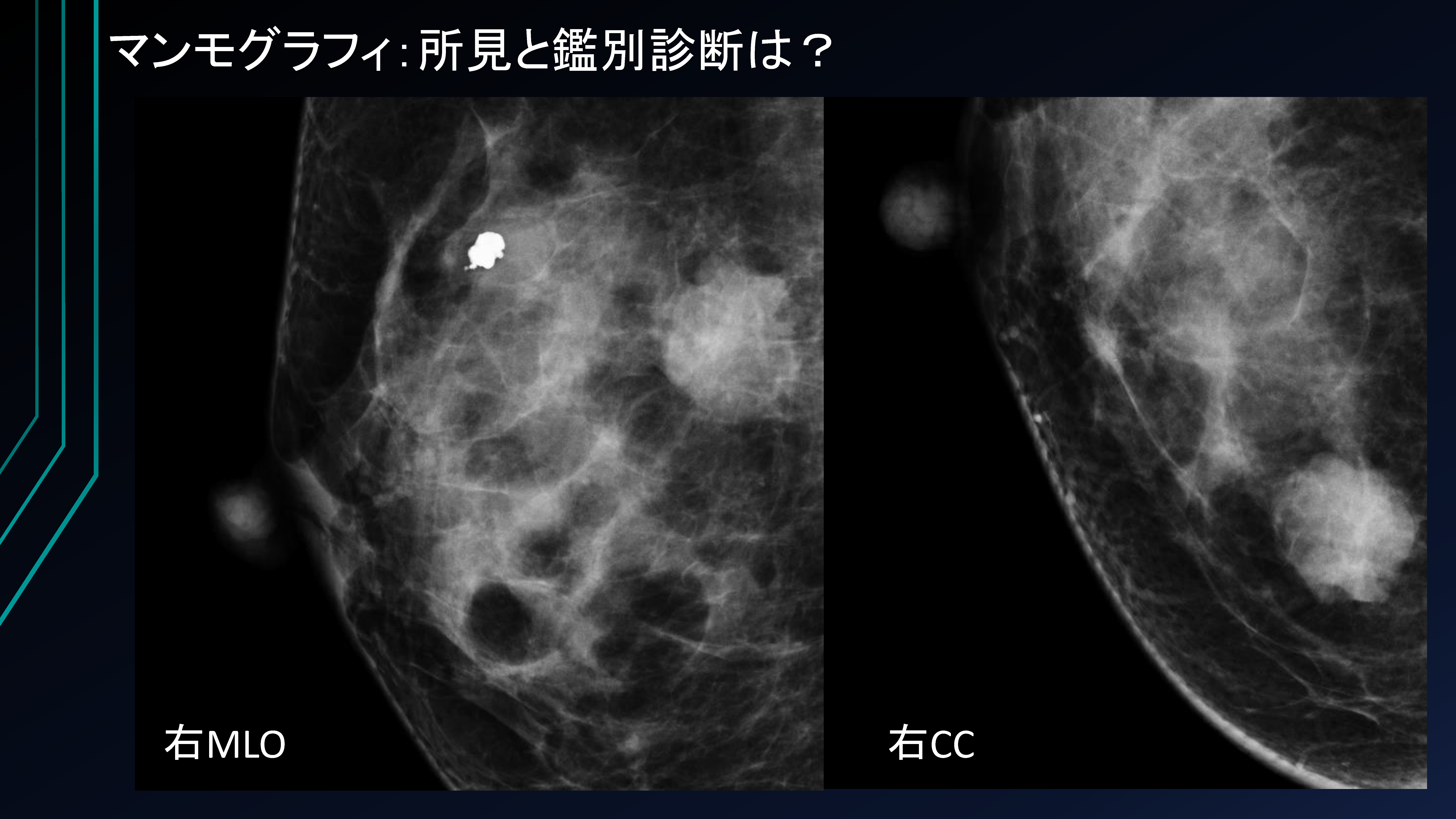 ページ5