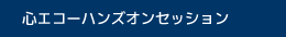 心エコーハンズオンセッション