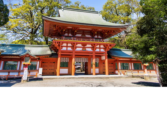 宿泊申込
