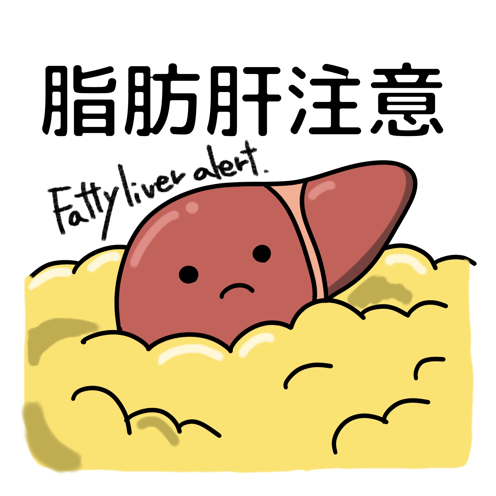 脂肪肝注意