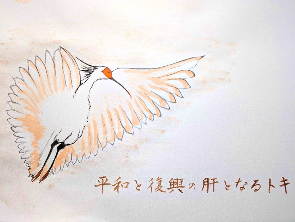 肝朱鷺