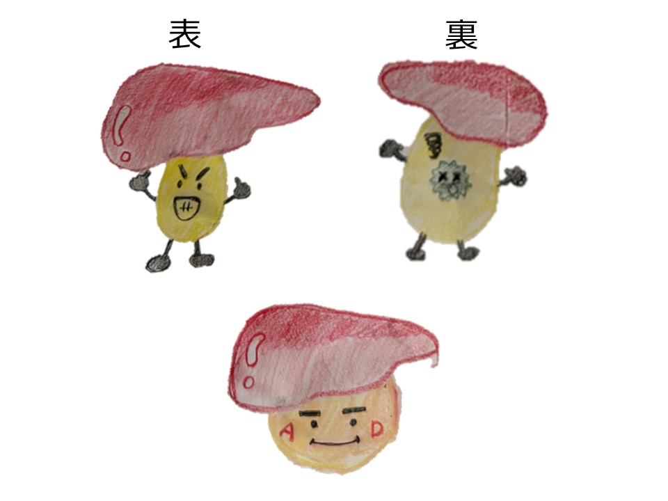 かんぞう