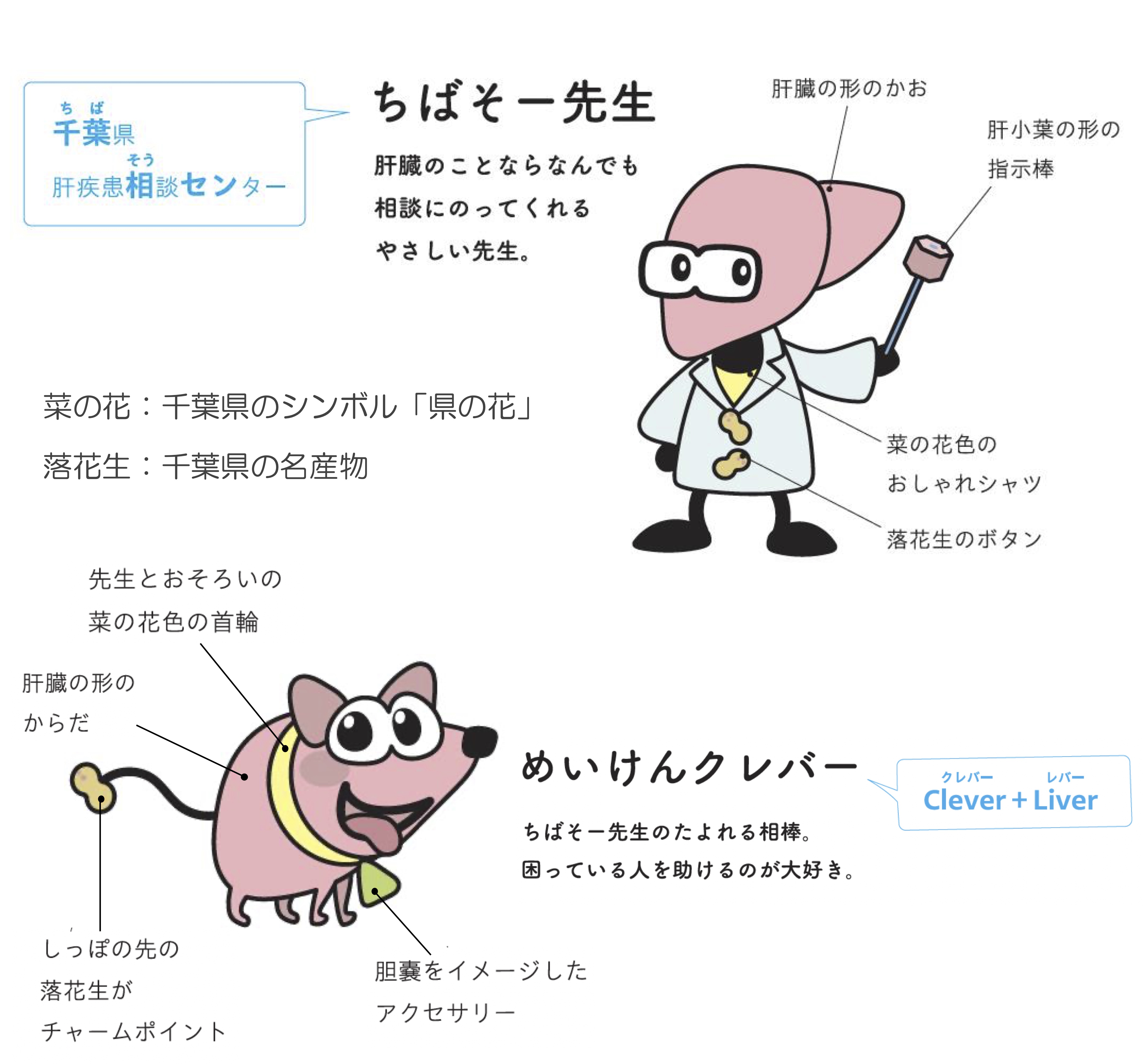 千葉大学消化器内科／千葉県肝疾患相談センター 肝疾患啓発キャラクター