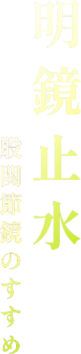 明鏡止水 股関節鏡のすすめ
