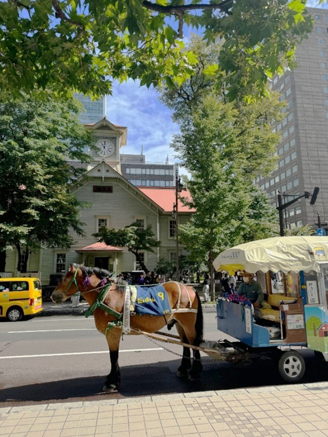 札幌まちばしゃ　だいちゃん