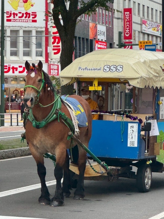 札幌まちばしゃ　だいちゃん