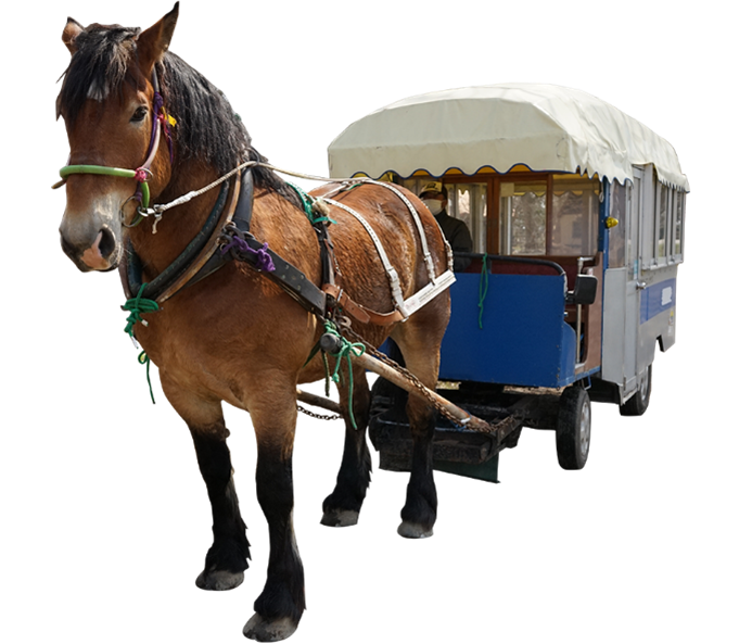 札幌まちばしゃ　だいちゃん