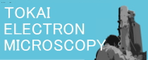 Tokai Electron Microscopy, Inc.