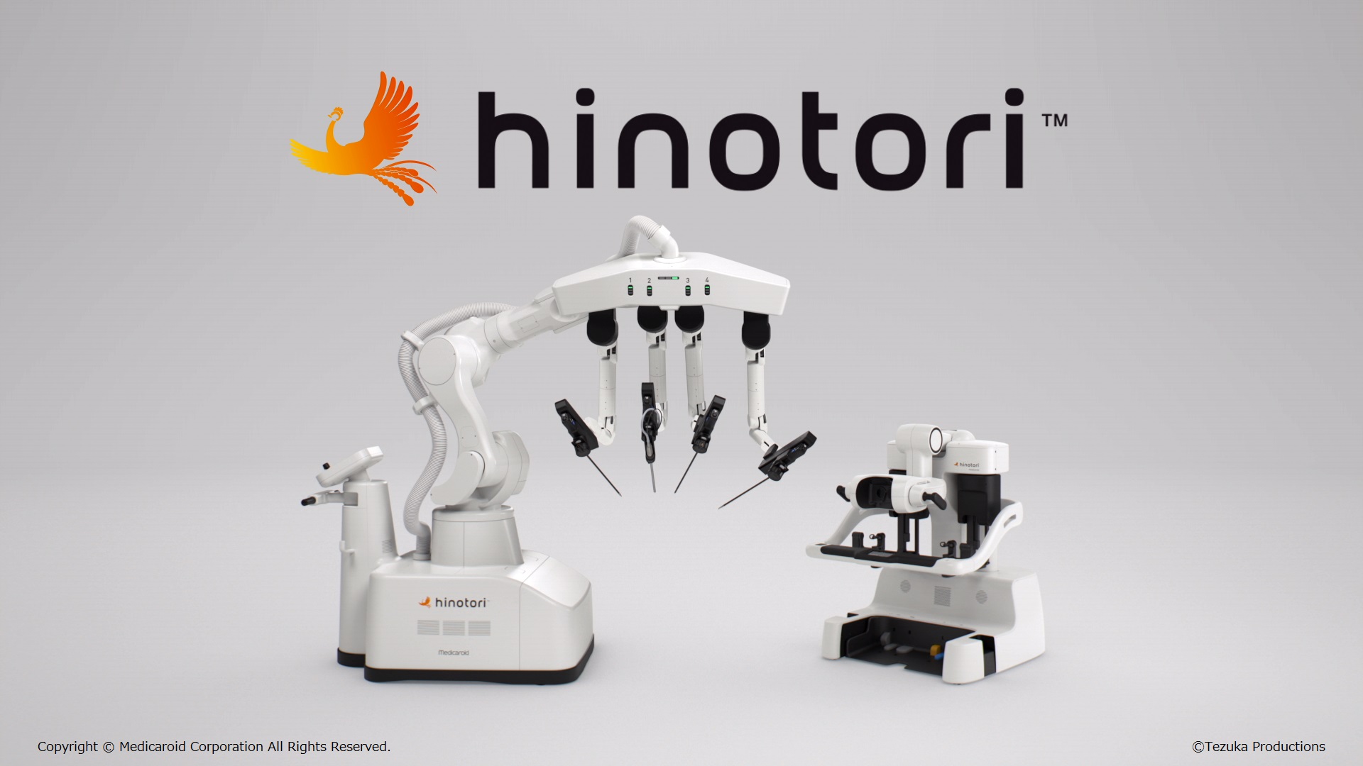 hinotori™