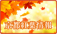 京都紅葉情報